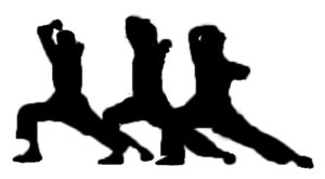 Kung Fu Shaolin Bambini Corsi Presso L A S D Shen Kuan