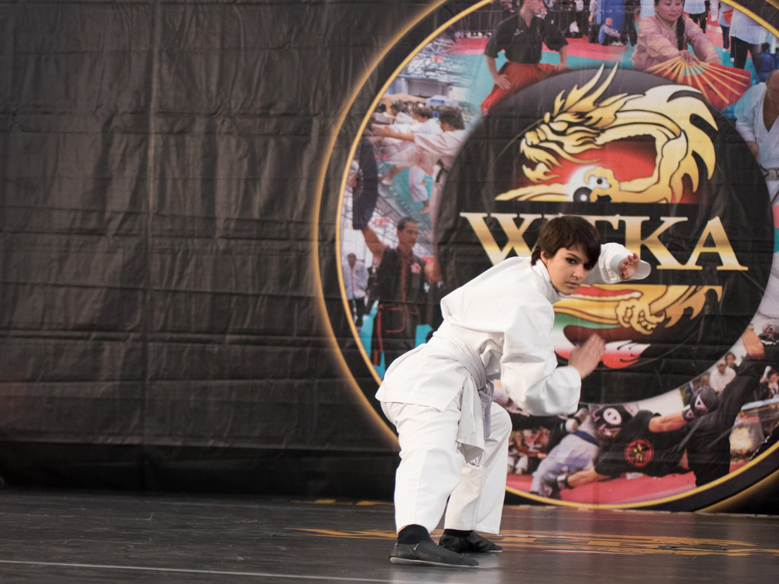 Festival dell'Oriente 2015 - Shaolin - 1° Lu